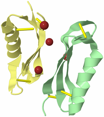 Image Biological Unit 19