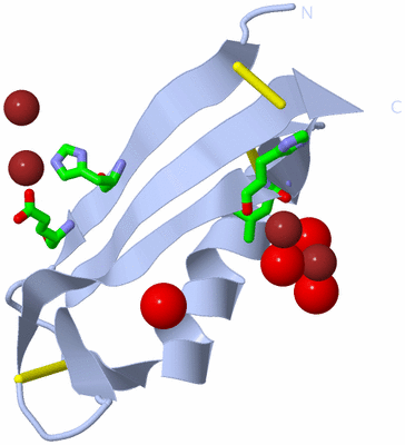 Image Biol. Unit 1 - sites