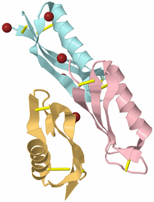 Image Biological Unit 23