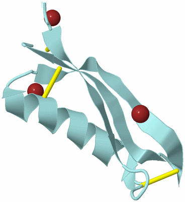 Image Biological Unit 6