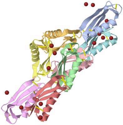 Image Biological Unit 9