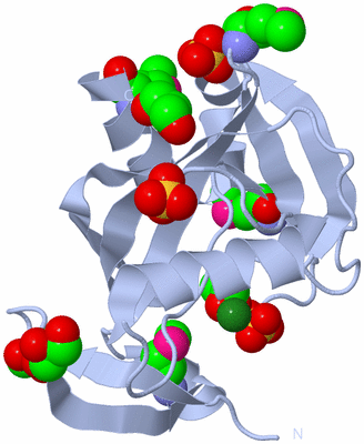 Image Biological Unit 1