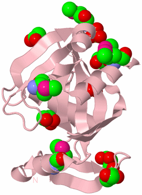 Image Biological Unit 3