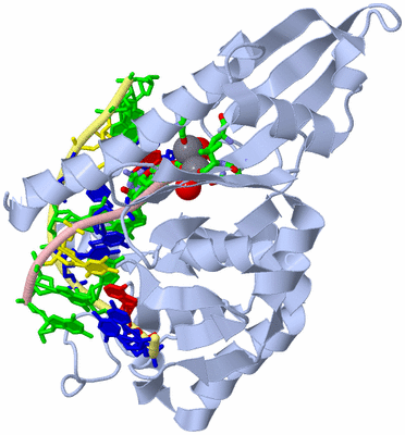 Image Biol. Unit 1 - sites