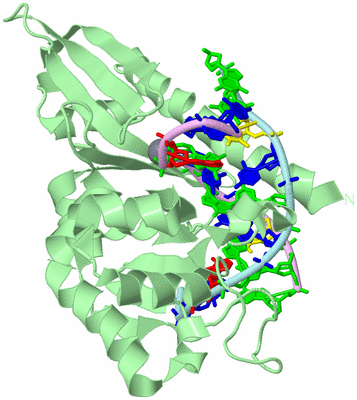 Image Biological Unit 2