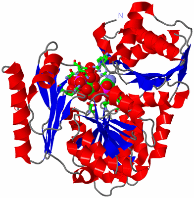 Image Asym./Biol. Unit - sites