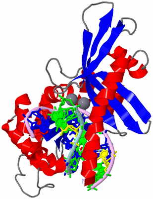 Image Asym./Biol. Unit