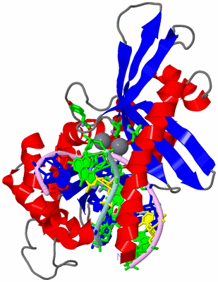 Image Asym./Biol. Unit - sites