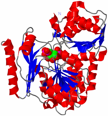 Image Asym./Biol. Unit