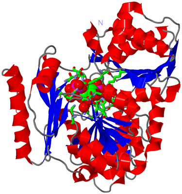 Image Asym./Biol. Unit - sites