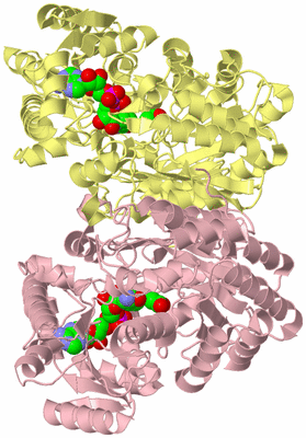 Image Biological Unit 2