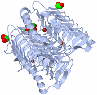 Image Biological Unit 1