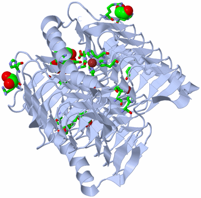 Image Biol. Unit 1 - sites