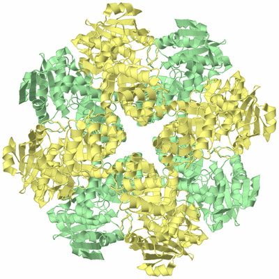 Image Biological Unit 2