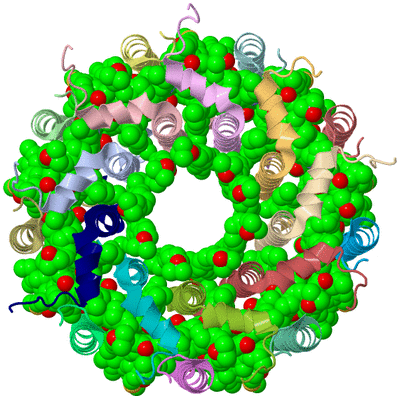 Image Asym./Biol. Unit