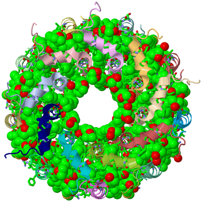 Image Asym./Biol. Unit - sites