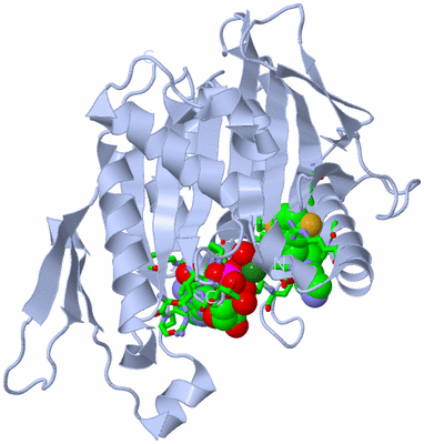 Image Biol. Unit 1 - sites