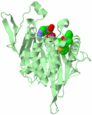 Image Biological Unit 2