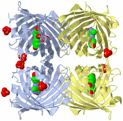 Image Biological Unit 1