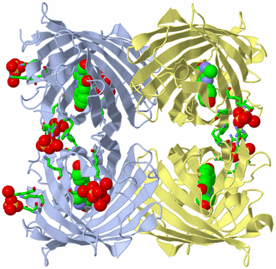 Image Biol. Unit 1 - sites