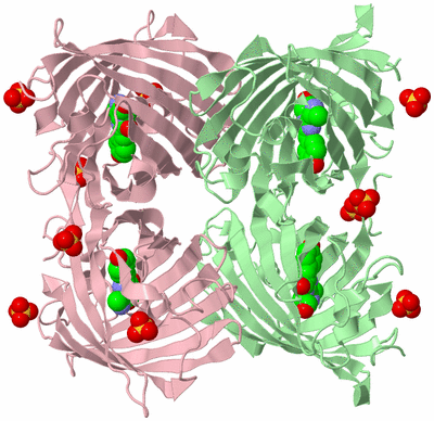 Image Biological Unit 2