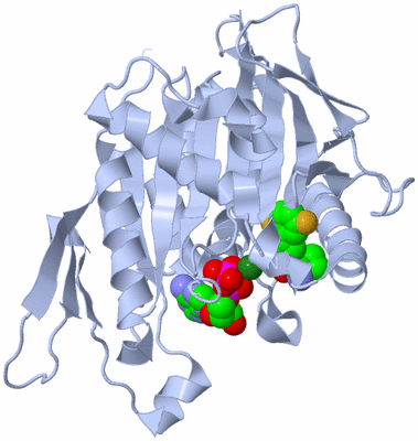 Image Biological Unit 1