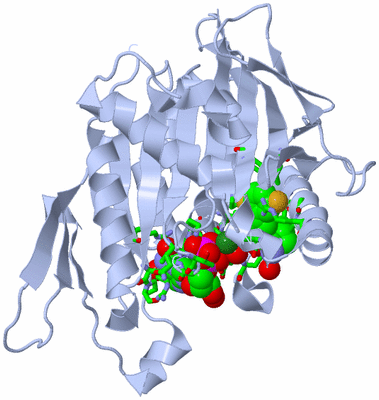 Image Biol. Unit 1 - sites