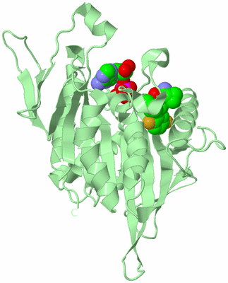 Image Biological Unit 2