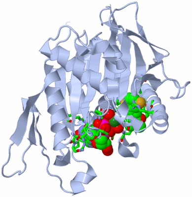 Image Biol. Unit 1 - sites