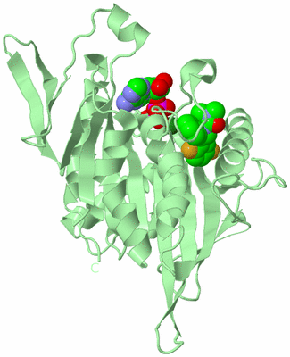 Image Biological Unit 2