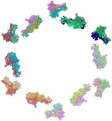 Image Asym./Biol. Unit