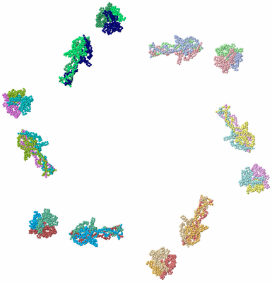 Image Asym./Biol. Unit