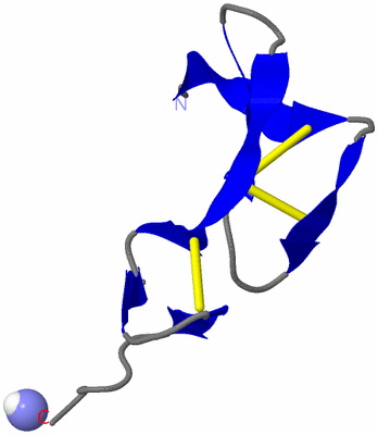 Image NMR Structure - model 1