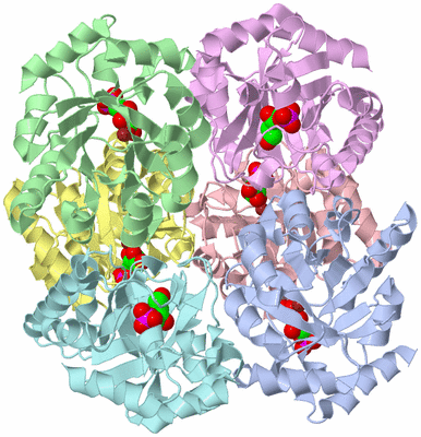 Image Biological Unit 1