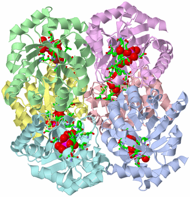 Image Biol. Unit 1 - sites