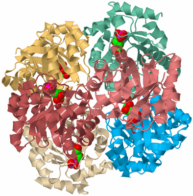 Image Biological Unit 2