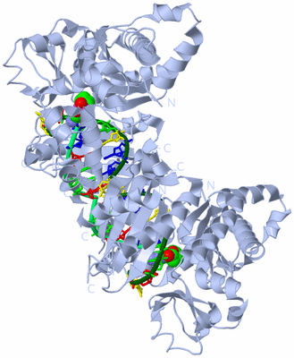 Image Biological Unit 1