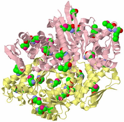 Image Biological Unit 2