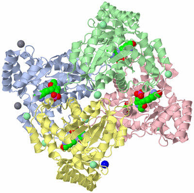 Image Asym./Biol. Unit