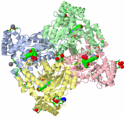 Image Asym./Biol. Unit - sites