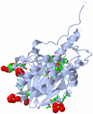 Image Biol. Unit 1 - sites