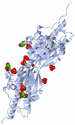 Image Biological Unit 3