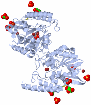 Image Biological Unit 4