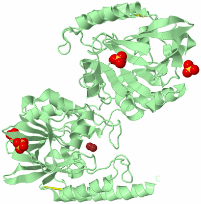 Image Biological Unit 5