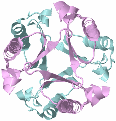 Image Biological Unit 3