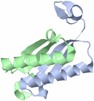 Image Biological Unit 4