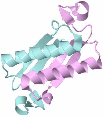 Image Biological Unit 5