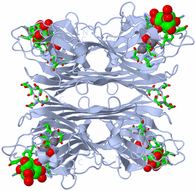 Image Biol. Unit 1 - sites