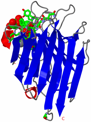 Image Asym. Unit - sites