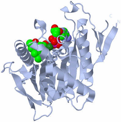 Image Biological Unit 1